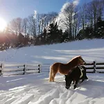 Zwickelreith