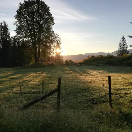 Zwickelreith Дом отдыха