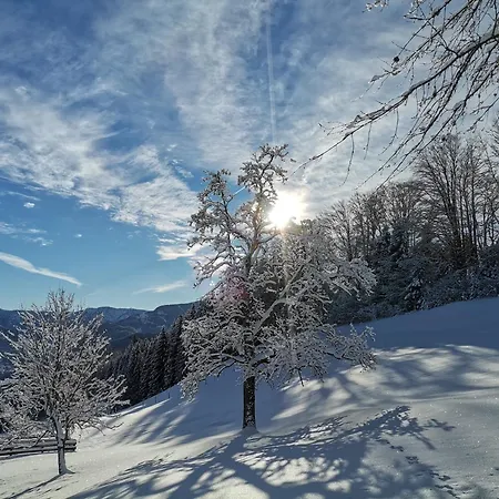 Ferienhaus Zwickelreith *