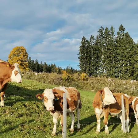 Zwickelreith * Гестлинг-на-Ибсе