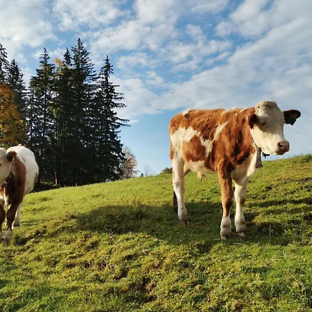 Zwickelreith Дом отдыха