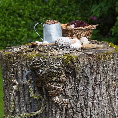 Дом отдыха Zwickelreith *