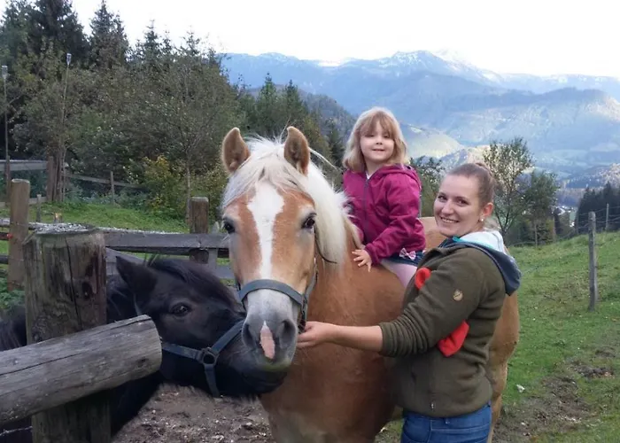 Holiday home Zwickelreith *