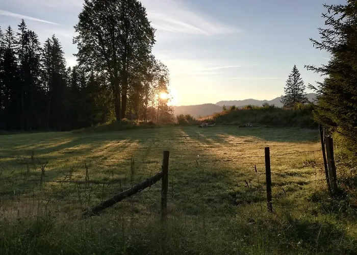 Zwickelreith Holiday home