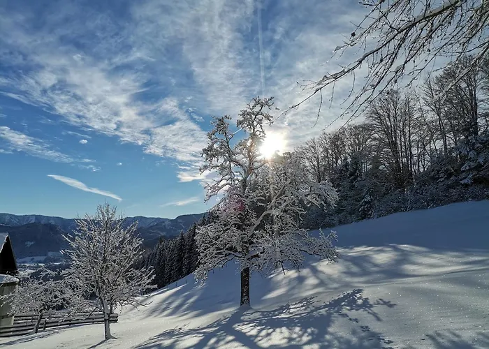 Ferienhaus Zwickelreith *