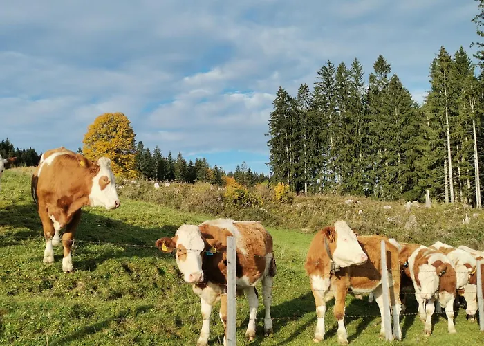 Zwickelreith * Goestling an der Ybbs