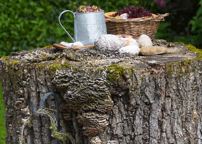 Ferienhaus Zwickelreith *